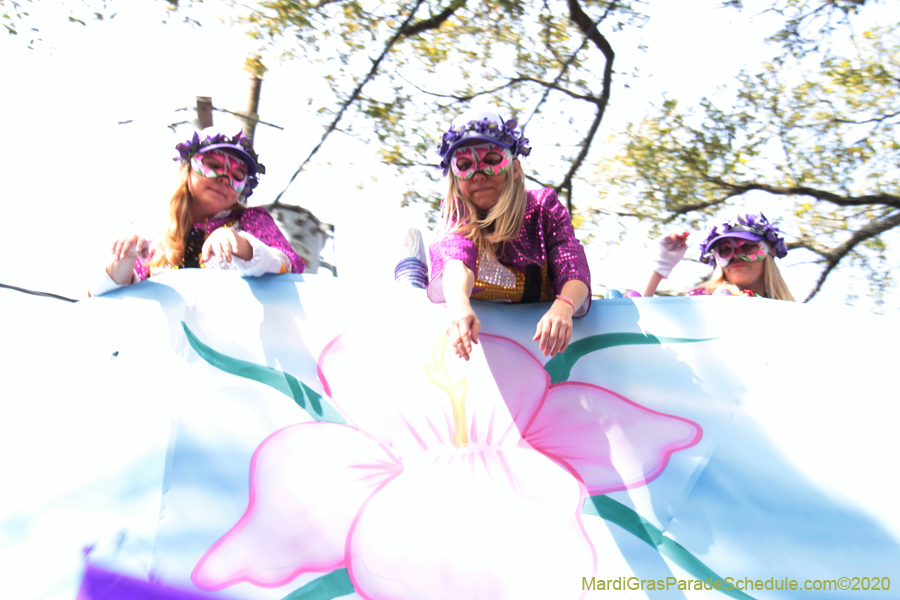 Krewe-of-Iris-2020-06377