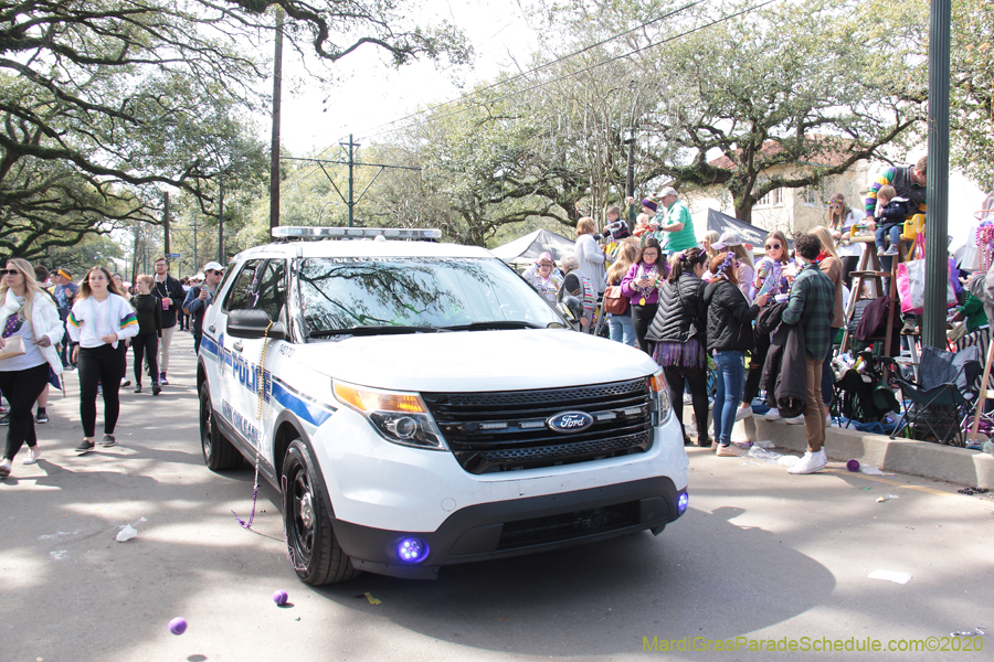 Krewe-of-Iris-2020-06379