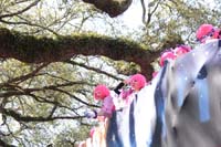 Krewe-of-Iris-2020-06077