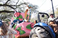 Krewe-of-Iris-2020-06124