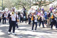 Krewe-of-Iris-2020-06249