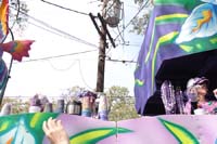 Krewe-of-Iris-2020-06363