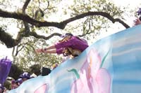 Krewe-of-Iris-2020-06368