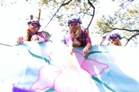 Krewe-of-Iris-2020-06377