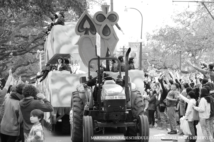 Krewe-of-Iris-00188-2022