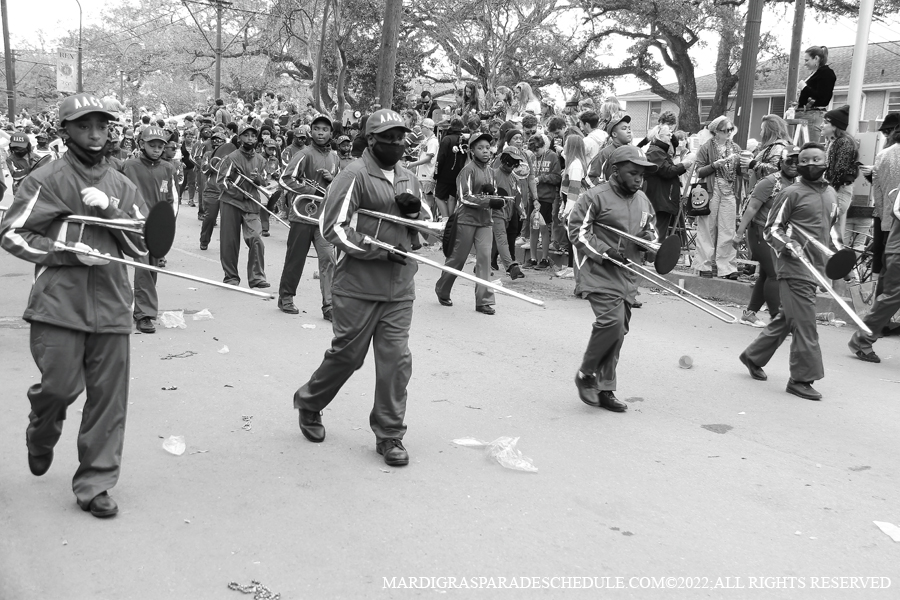 Krewe-of-Iris-00196-2022