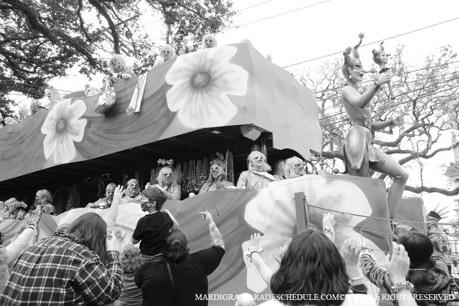 Krewe-of-Iris-00282-2022