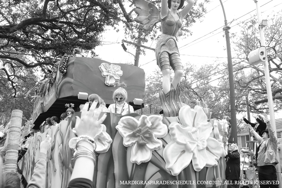 Krewe-of-Iris-00351-2022