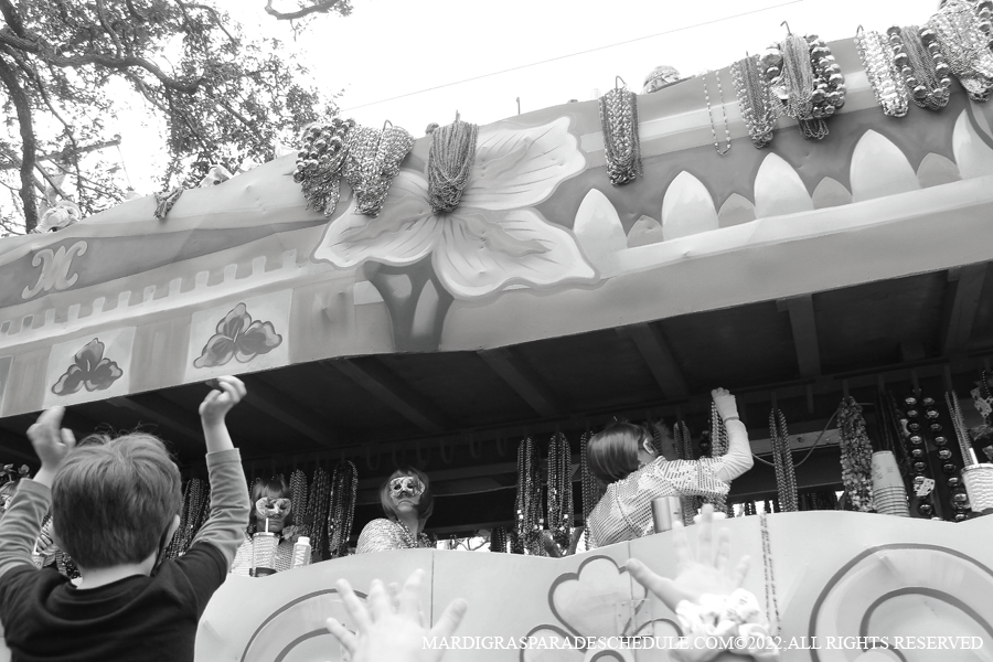 Krewe-of-Iris-00353-2022