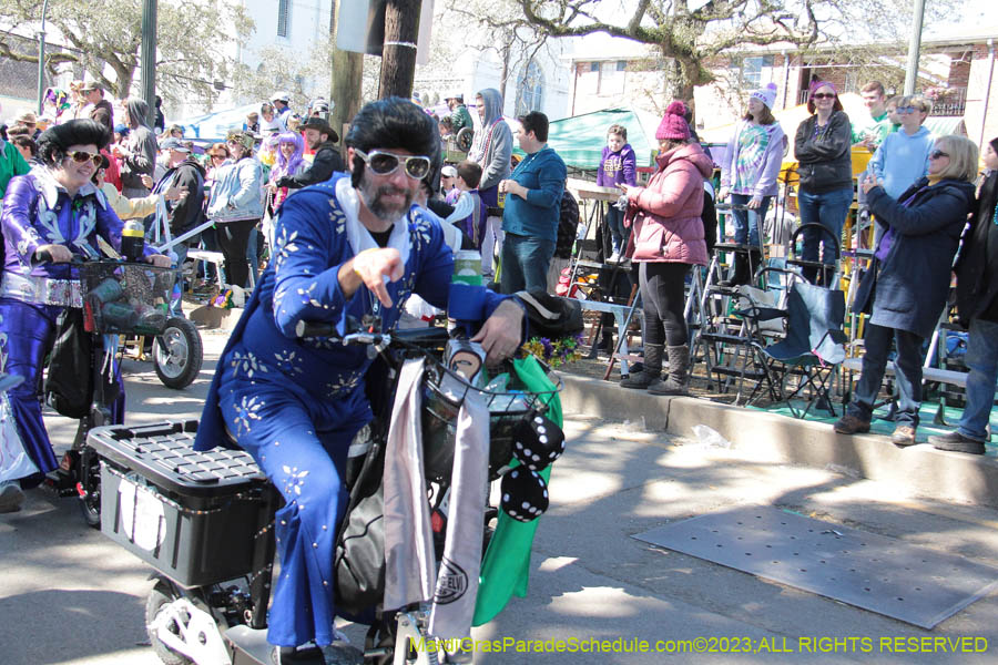 2023-Krewe-of-Iris-08877