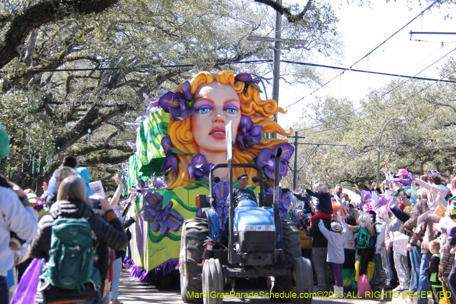 2023-Krewe-of-Iris-08881