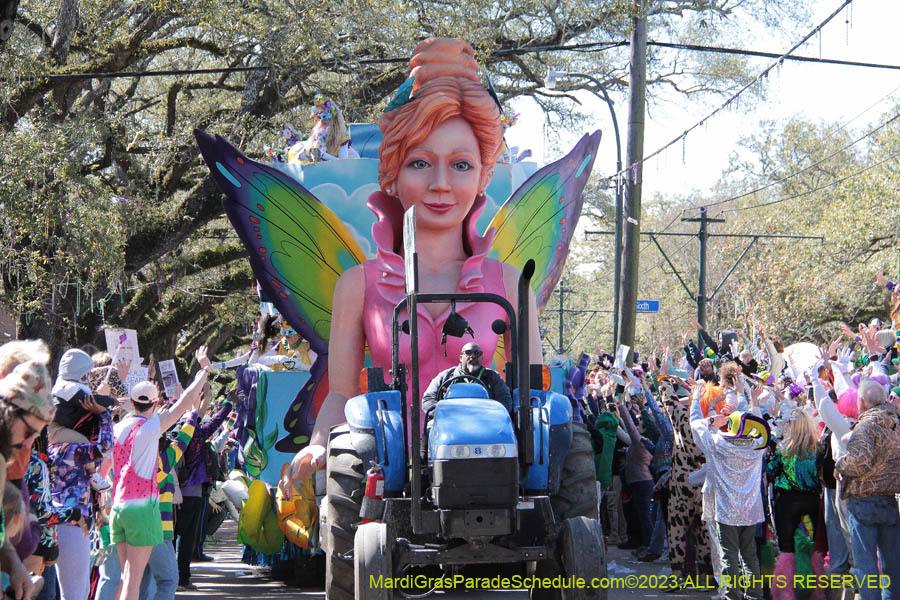 2023 the Krewe of Iris presents "Iris Soars to New Heights" February 18