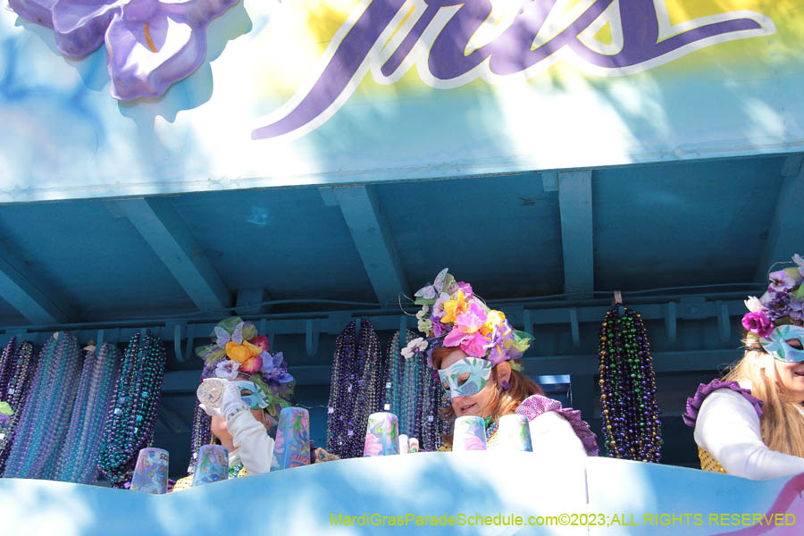 2023-Krewe-of-Iris-08922