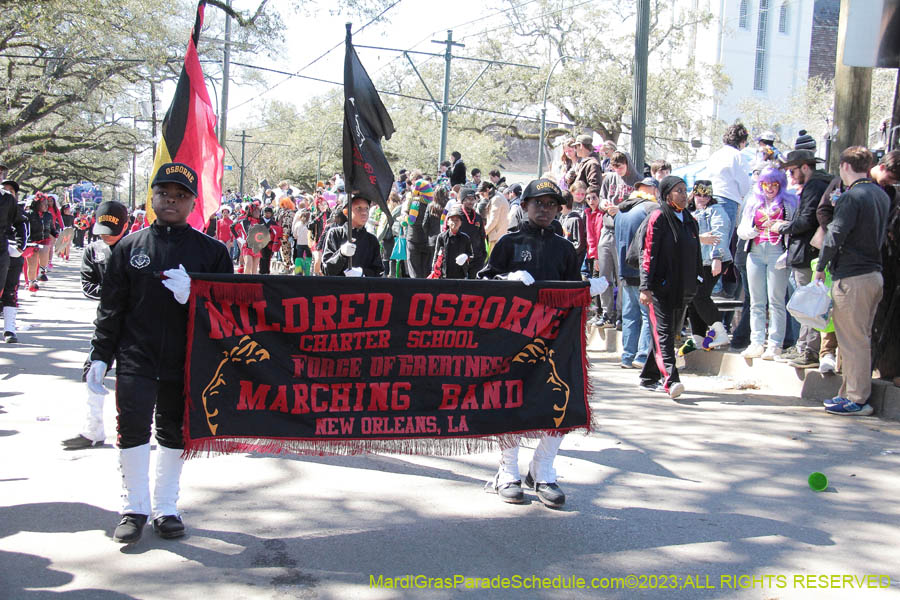 2023-Krewe-of-Iris-08940