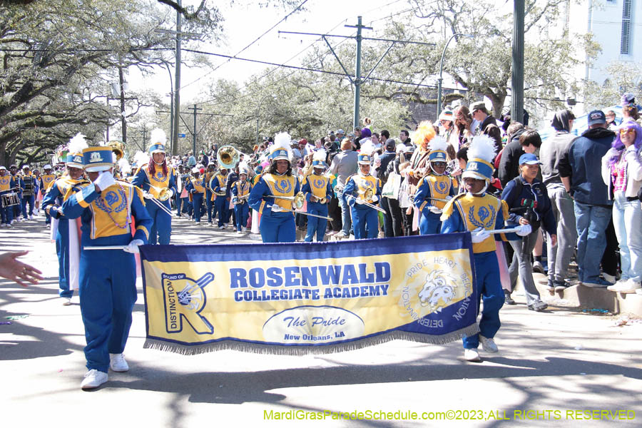 2023-Krewe-of-Iris-08968