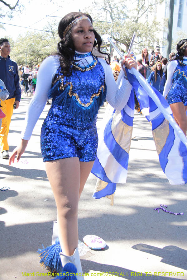 2023-Krewe-of-Iris-08971