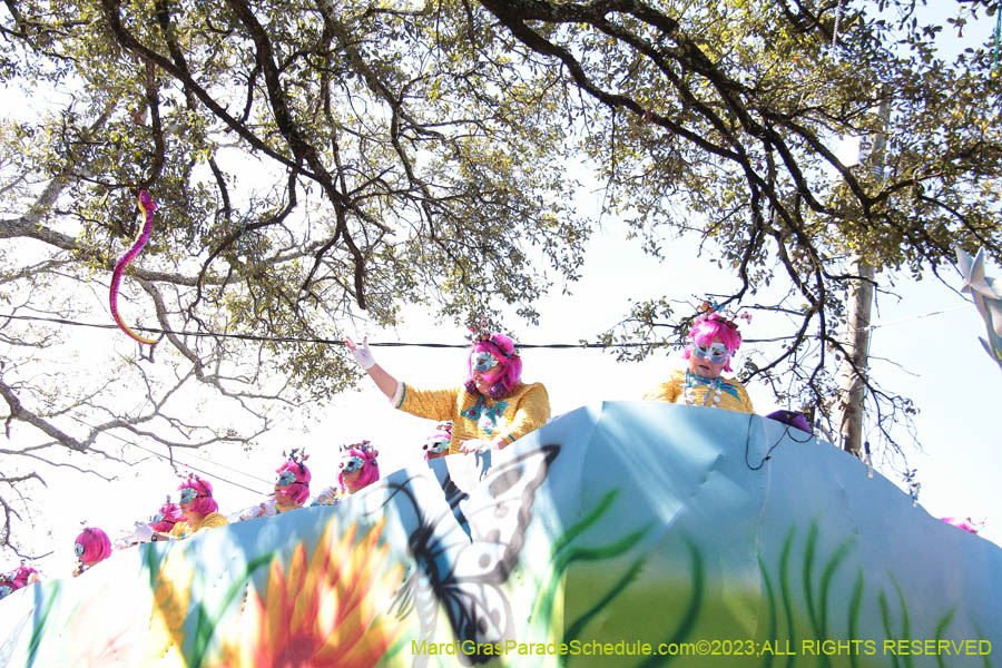 2023-Krewe-of-Iris-09010