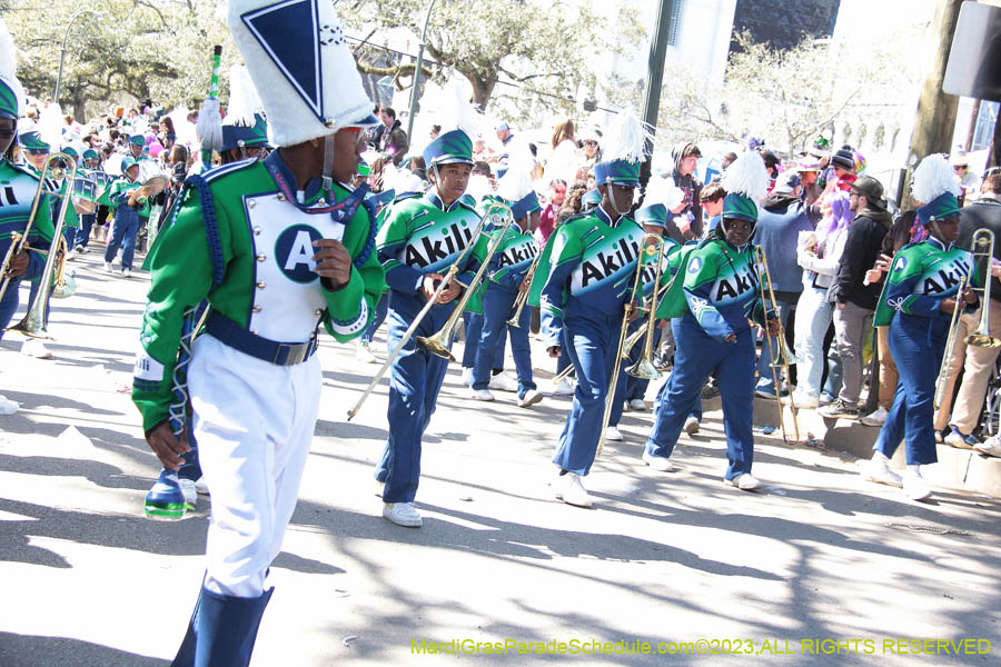 2023-Krewe-of-Iris-09017