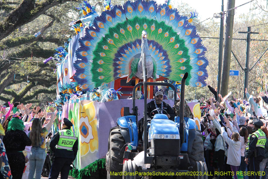 2023-Krewe-of-Iris-09020