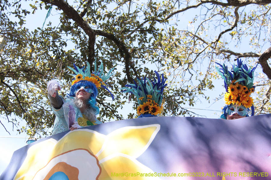 2023-Krewe-of-Iris-09026