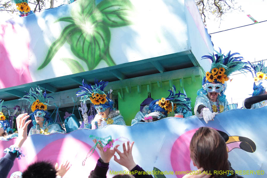 2023-Krewe-of-Iris-09034