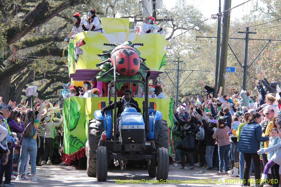 2023-Krewe-of-Iris-09043