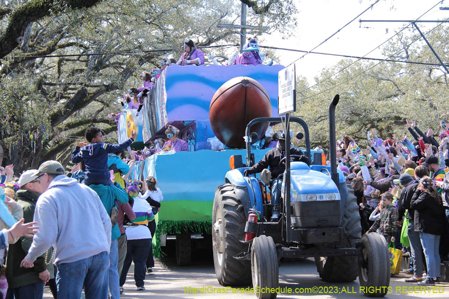 2023-Krewe-of-Iris-09061