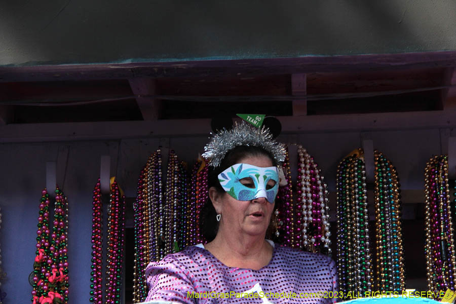 2023-Krewe-of-Iris-09066