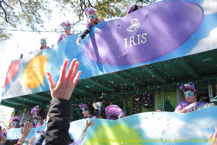 2023-Krewe-of-Iris-09072