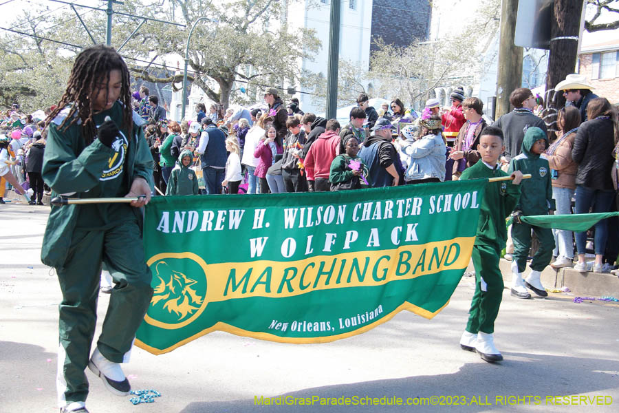 2023-Krewe-of-Iris-09075