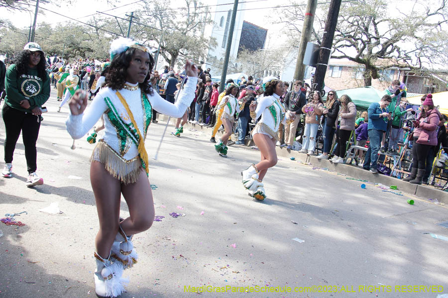 2023-Krewe-of-Iris-09076