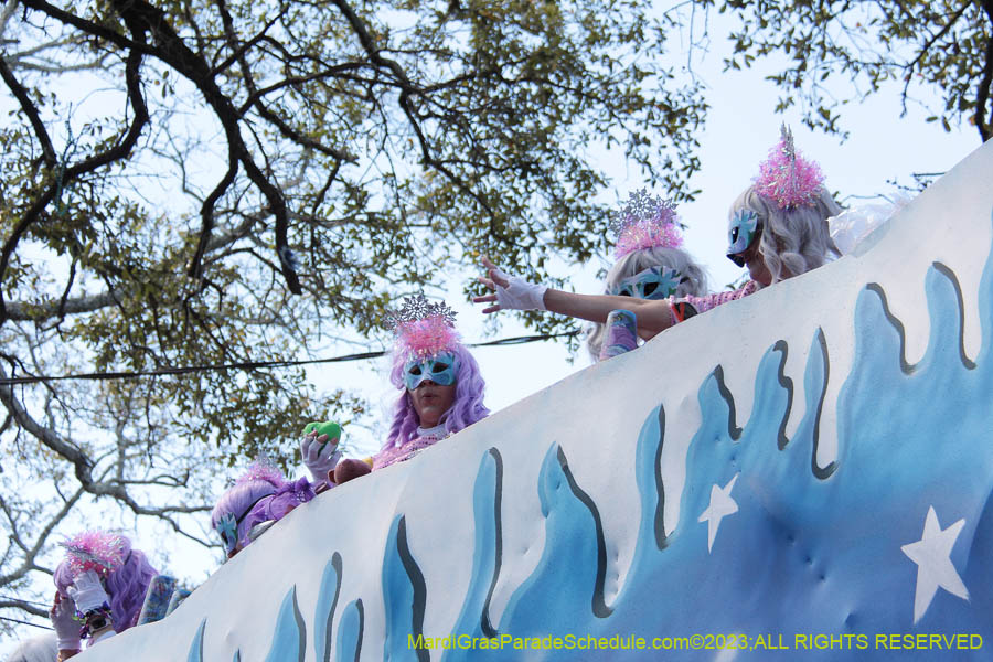 2023-Krewe-of-Iris-09088