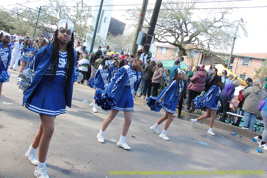 2023-Krewe-of-Iris-09109