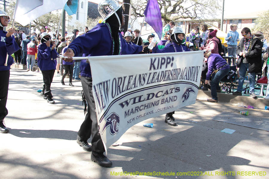 2023-Krewe-of-Iris-09138