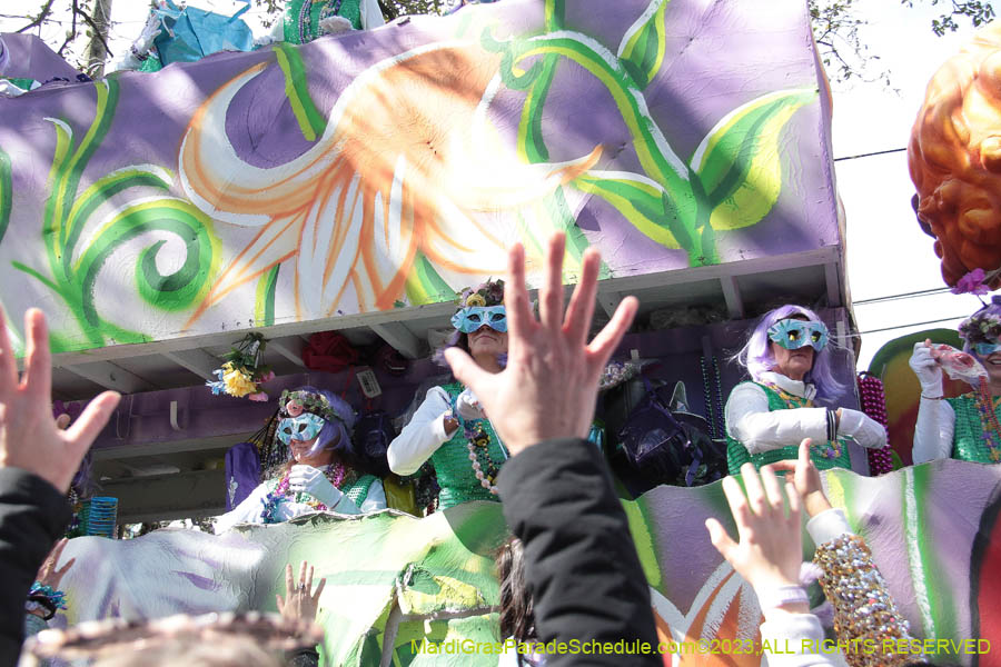 2023-Krewe-of-Iris-09250