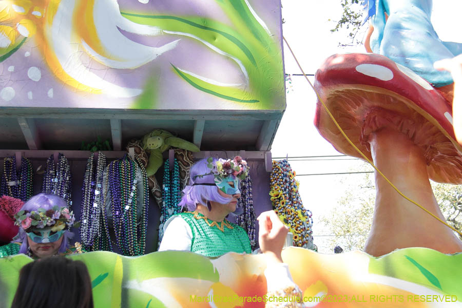 2023-Krewe-of-Iris-09260