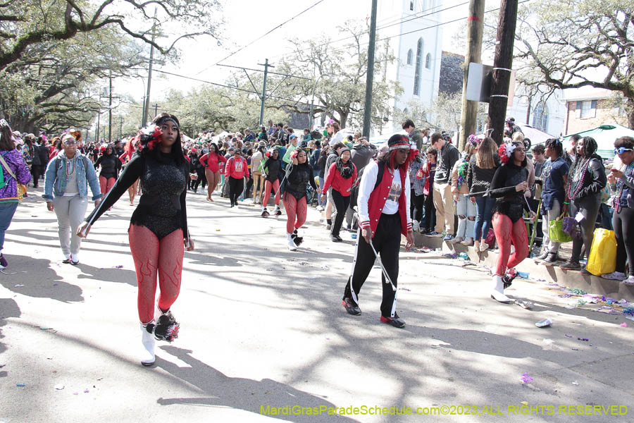 2023-Krewe-of-Iris-09267