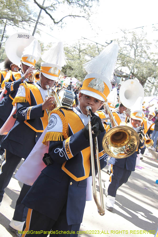 2023-Krewe-of-Iris-09289