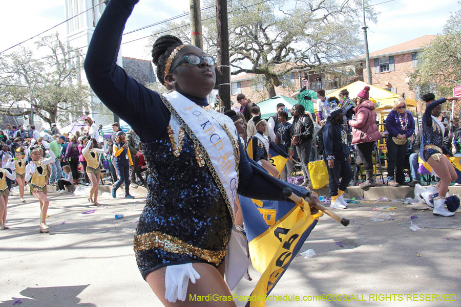 2023-Krewe-of-Iris-09290