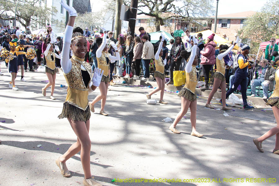 2023-Krewe-of-Iris-09291