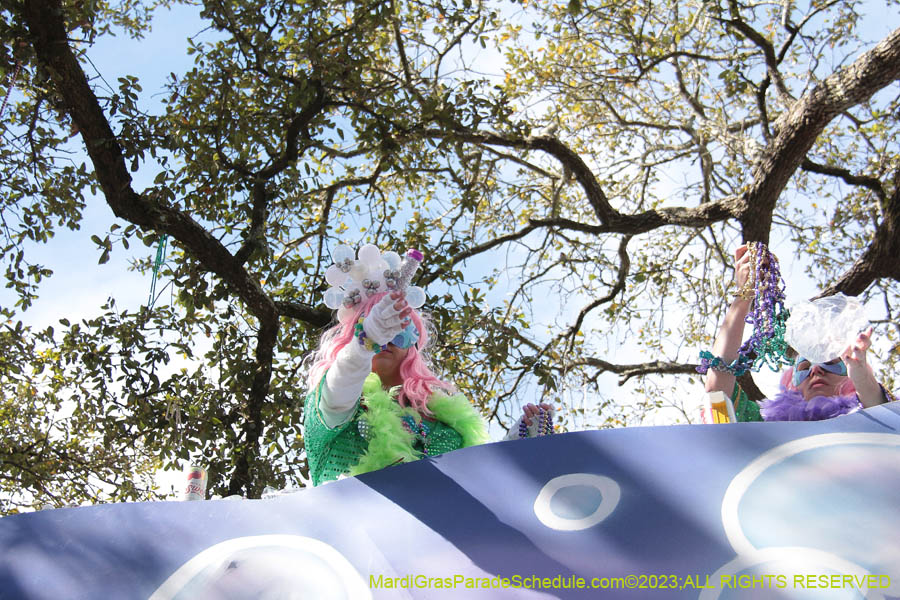 2023-Krewe-of-Iris-09297