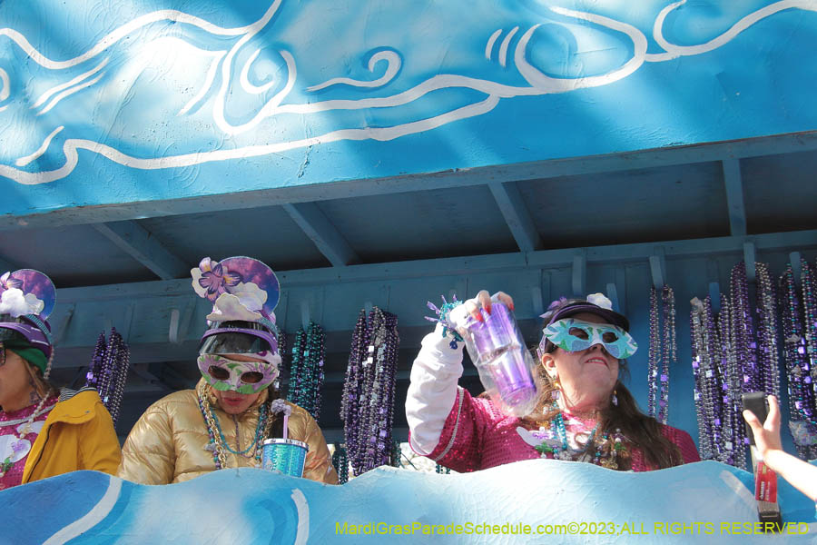 2023-Krewe-of-Iris-09304