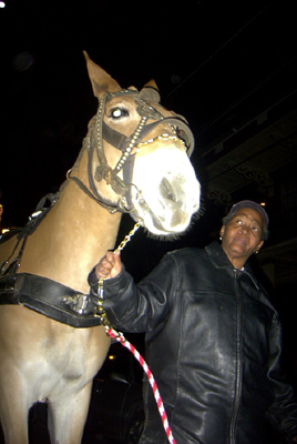 kreweduvieux2006_0167