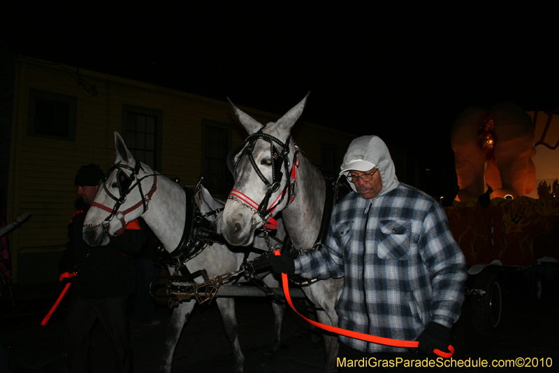 Krewe-du-Vieux-2010-1705