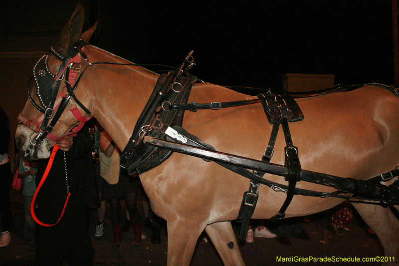 Krewe-du-Vieux-2011-Mardi-Gras-0333