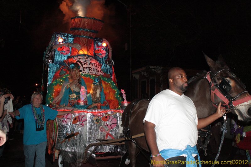 Krewe-du-Vieux-2012-0129