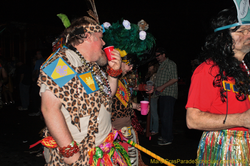 Krewe-du-Vieux-2012-0151