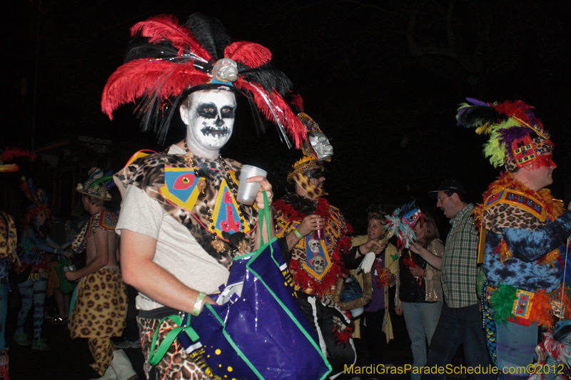 Krewe-du-Vieux-2012-0156