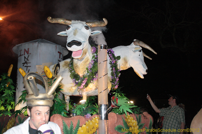 Krewe-du-Vieux-2012-0164