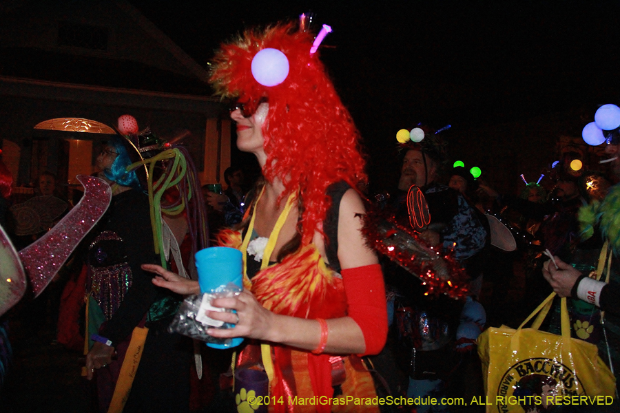 2014-Krewe-du-Vieux11135